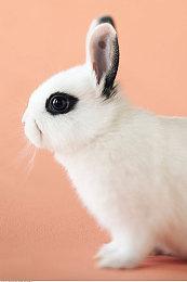 《生化危机8》DLC“温特斯家的传续”7分钟新演示